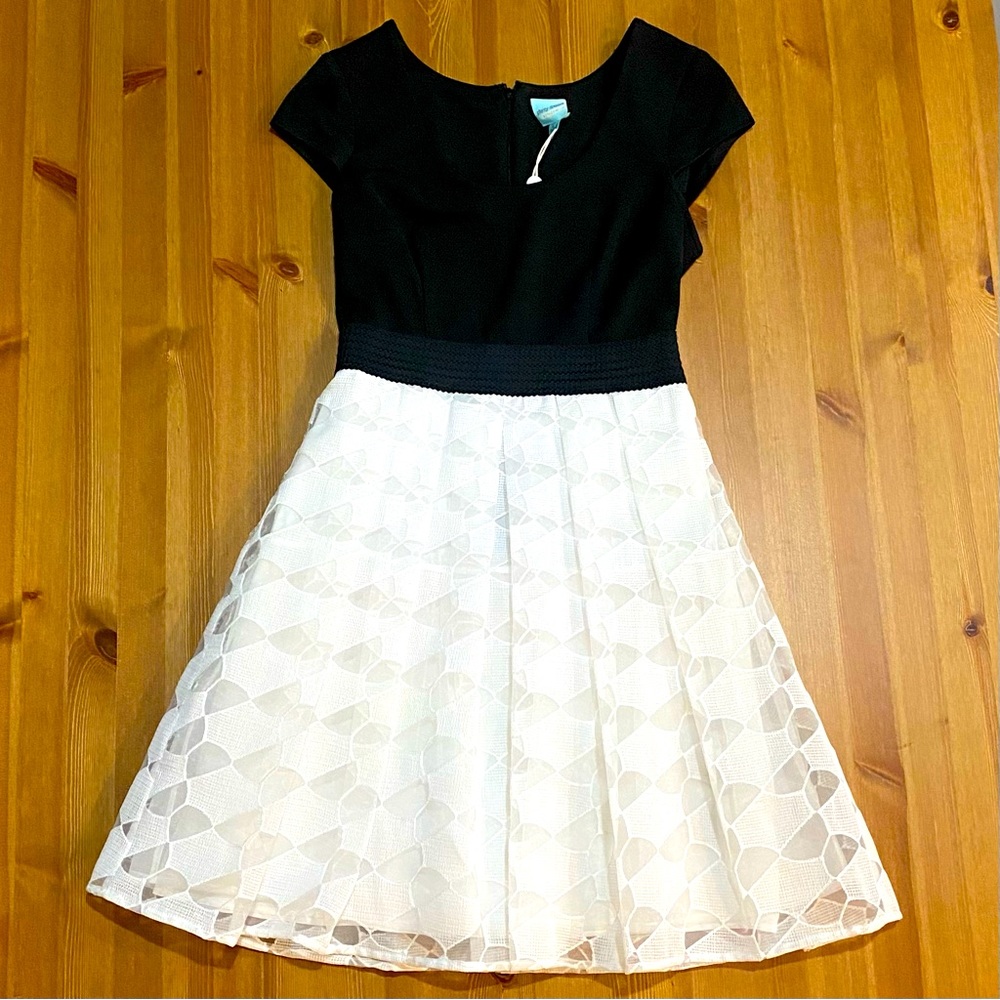 NWT!! Black & Ivory Zoe dress, Plenty by Tracy Reese